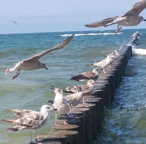 Royal Maris 7 - Najlepsza Lokalizacja W Ustce, Blisko Plazy I Portu, Bezplatny Parking, Scisle Centrum * Ustka