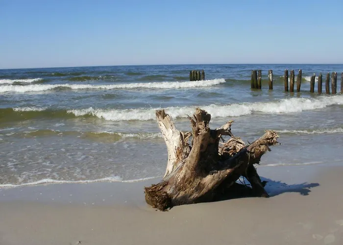 Appartement Royal Maris 7 - Najlepsza Lokalizacja W Ustce, Blisko Plazy I Portu, Bezplatny Parking, Scisle Centrum *